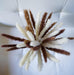 Fluffy Small Bundle of Real Natural Dried Pampas Grass Plant, Feather Length Is 25-35Cm with a Total Length of 45Cm-30 Stem Flower Arrangement for Wedding, Home Décor, Gifts