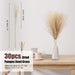 Dried Pampas Grass Boho Home Decor, 92Pcs Natural Flowers Bouquet Inc Lavender Bunny Tail Pompas Reed Neutral Bohemian Fall Decoration for Table Wedding Bedroom Western Vase Fireplace Christmas Décor