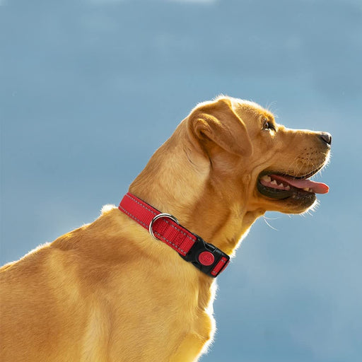 Reflective Dog Collar with Safety Locking Buckle, Adjustable Nylon Pet Collars for Extra Large Dogs, Red