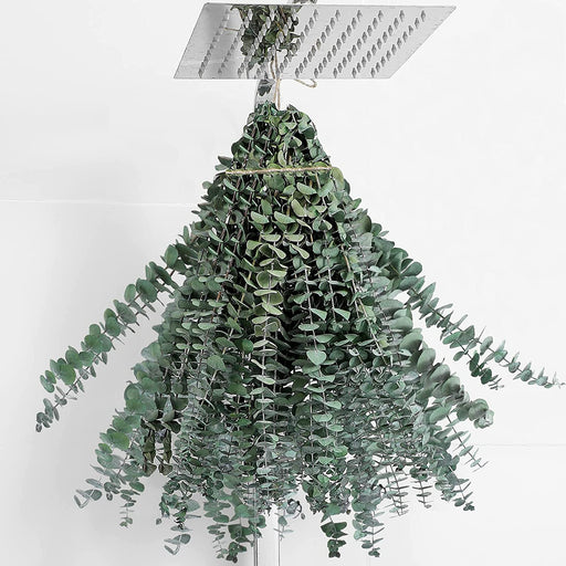 20 Pcs Eucalyptus for Shower Hanging Dried Eucalyptus Stems 17" Real Eucalyptus 100% Made from Fresh Eucalyptus Leaves Artificial Wedding Decor Home Decor Farmhouse Decor DIY Artificial Plants,Green