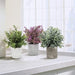 Artificial Plant, 3 Pcs Mini Plants Artificial Potted Set Fake Green Seven-Layer Grass Plant Faux Plastic Herbs Topiary Shrubs for Home Office Desk , Kitchen Counter Decoration