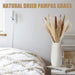 85Pcs Boho Home Decor Dried Flowers Arrangements White & Natural Pampas Grass, Reed, Bunny Tails