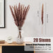 Dried Pampas Grass Boho Home Decor, 92Pcs Natural Flowers Bouquet Inc Lavender Bunny Tail Pompas Reed Neutral Bohemian Fall Decoration for Table Wedding Bedroom Western Vase Fireplace Christmas Décor