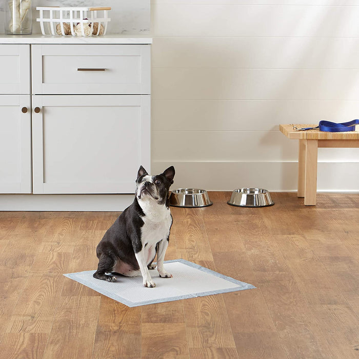 Dog and Puppy Pee Pads with Leak-Proof Quick-Dry Design for Potty Training, Standard Absorbency, Regular Size, 22 X 22 Inches - Pack of 100