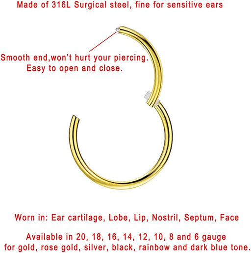 FANSING 316L Surgical Steel Hinged Nose Rings Hoop 20G 18G 16G 14G 12G 10G 8G 6G, Diameter 5Mm to 22Mm, Gold - Rose Gold - Silver - Black - Blue - Rainbow