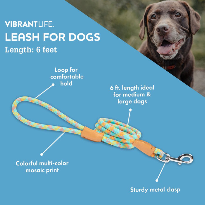 Vibrant Life 6' Polyester Mosaic Rope Dog Leash, Multi-Color