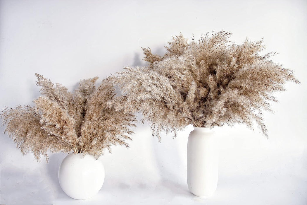 Pampas Grass Decor, Natural Dry Pampas Grass Small, Short Pampass Bulk for Farmhouse, Wall, Kitchen, Bedroom Decor, Office Decor (17 Inch )