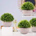 4 Packs Artificial Potted Plants Bathroom Fake Shelf Plant Office Table Decor Mini Green Faux Topiary Kitchen Cabinet Farmhouse Decorations