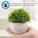4 Packs Artificial Potted Plants Bathroom Fake Shelf Plant Office Table Decor Mini Green Faux Topiary Kitchen Cabinet Farmhouse Decorations