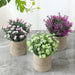 GIRLS Small Fake Plants Set of 3 Home Decor Indoor, Potted Artificial Plant Flowers Living Room Bedroom Bathroom Aesthetic, Mini Faux Plant in Pots for Desk Shelf Office, Purple Pink White