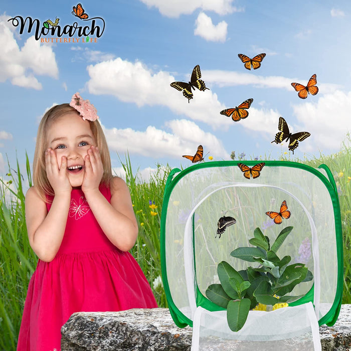 Short Peg Rack with 8 Large Floral Tubes to Feed Caterpillars Fresh Milkweed Cuttings, Host Plants, and Nectar Flowers by
