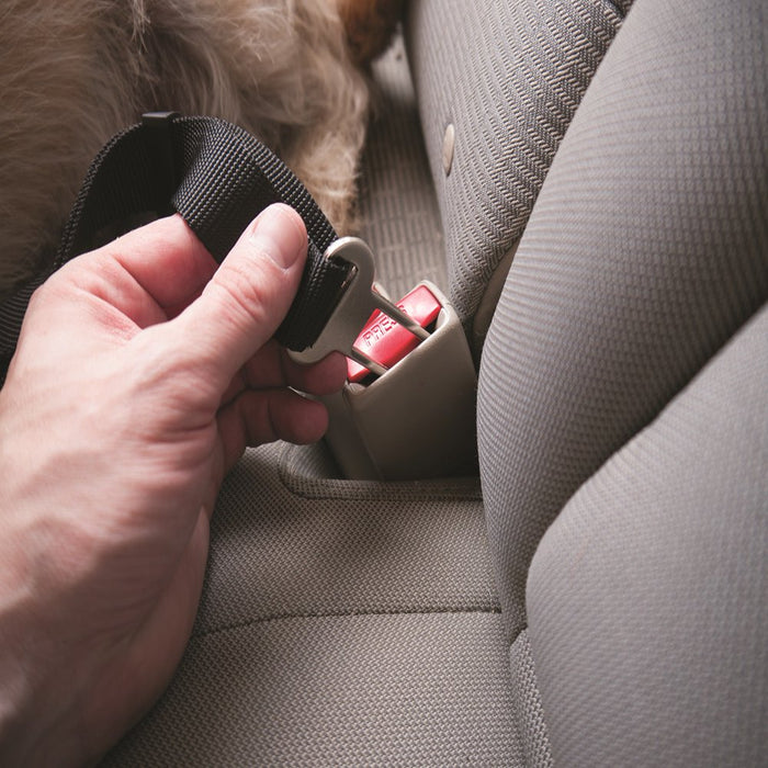 Car Belt | Car Seat Dog Safety Belt, Black