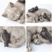 Sleeping Cat Garden Statues Outdoor - Sparrows on Cat Figurine 12" X 8" X 4.5"
