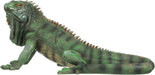 QL56991 Iggy the Iguana Garden Statue, 22 Inch, Large, Full Color