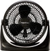 3 Speed Small Room Air Circulator Fan, 11-Inch