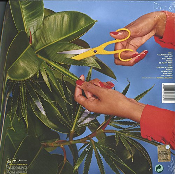 Snoop Dogg - Bush - Vinyl