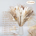 120 Pcs Dried Pampas Grass Dried Flowers Bouquet Natural Pampas Grass Decor White & Brown Pompous Grass Bunny Tails Reed for Farmhouse Rustic Party Wedding Boho Home Decorations, 17.5''