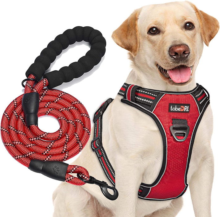 No Pull Dog Harness Adjustable Reflective Oxford Easy Control Medium Large Dog Harness with a Free Heavy Duty 5Ft Dog Leash (S (Neck: 13"-18", Chest: 17.5"-22"), Blue Harness+Leash)