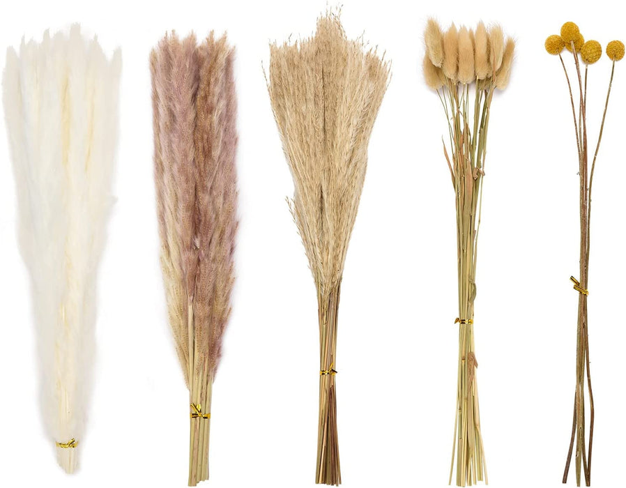 Dried Pampas Grass Boho Decor - 85 Pieces 17.5" Natural Fluffy Dried Flowers for DIY Decor Birthday Contains Pampas Grass & Pampas Flower & Reed Grass & Bunny Tail Grass & Craspedia