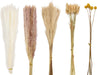 Dried Pampas Grass Boho Decor - 85 Pieces 17.5" Natural Fluffy Dried Flowers for DIY Decor Birthday Contains Pampas Grass & Pampas Flower & Reed Grass & Bunny Tail Grass & Craspedia