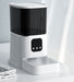 Smart Pet Feeder for Cats and Dogs Pet Products