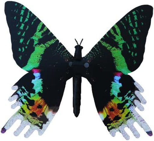 Dynalloy, Inc Aliforms Urania Moving Butterfly