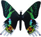 Dynalloy, Inc Aliforms Urania Moving Butterfly
