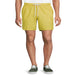 Men'S and Big Men'S All Guy Swim Shorts