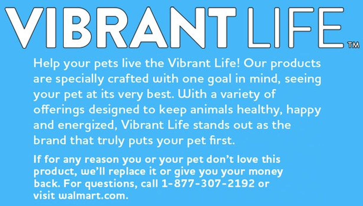 Vibrant Life 16' Plastic, Metal & Nylon Retractable Dog Leash, Black, L
