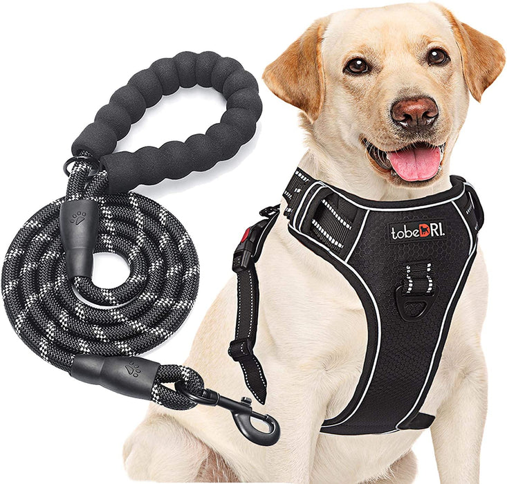 No Pull Dog Harness Adjustable Reflective Oxford Easy Control Medium Large Dog Harness with a Free Heavy Duty 5Ft Dog Leash (S (Neck: 13"-18", Chest: 17.5"-22"), Blue Harness+Leash)