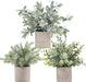 3 Pack Mini Potted Fake Plants Artificial Plastic Eucalyptus Plants for Home Office Desk Farmhouse Room Decor