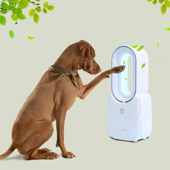 Desk Fan,Portable Bladeless Fan 11.8 Inch Small Personal Cooling Fan with 5 Colors Touch Control LED Light,Quiet Table Fan for Home, Office, Bedroom