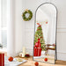 Arched Full Length Floor Mirror 64"X21" Full Body Standing Mirror,Black