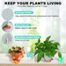Plant Pots 7/6.5/6/5.5/5 Inch Self Watering Planters for Indoor Plants with Drainage Hole, Nursery Planting Pot Plastic Flower Pot for Succulents, African Violet (Green)