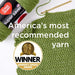 Red Heart Super Saver Jumbo Yarn, Sunny 2 Pack