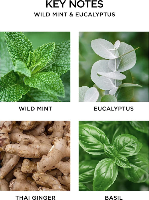 NEST New York Wild Mint & Eucalyptus Scented Classic Candle