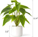 Fake Plants in Ceramic Pot, 11" Potted Artificial Plants for Home Decor Indoor Faux Green Leaf Plant with Modern White Planter for Desk Shelf Office Room Decoration (Pothos)