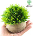 Mini Artificial Plants, Plastic Fake Green Grass Faux Greenery Topiary Shrubs with Grey Pots for Bathroom Home Office Décor, House Decorations (1)