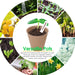 3” Peat Pots Seedling Pots Plant Starters Bulk 100 Pack Seed Starter Pots Biodegradable Kits with 100 Pcs Plant Labels, 3 Pcs Mini Seedling Tools for Garden Germination Nursery Pot
