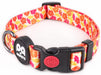 QQPETS Adjustable Soft Dog Collar: Print Flower Pink Multicolor Cute Patterns for XS Small Medium Large Pet Girl Boy Puppy Walking Running Training (M, Bone)