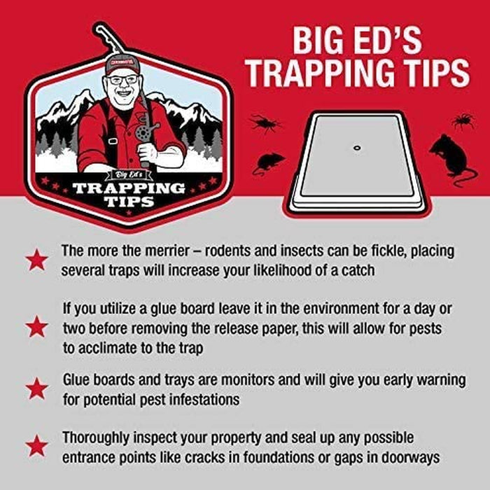 Baited Glue Traps by  - 10 Pre-Baited Trays, Ready to Use Indoors. Rat Mouse Snake Exterminator Plastic Sticky Adhesive Easy No-Mess Simple Non-Toxic Disposable - Made in the USA