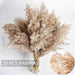 Pampas Grass Decor, Natural Dry Pampas Grass Small, Short Pampass Bulk for Farmhouse, Wall, Kitchen, Bedroom Decor, Office Decor (17 Inch )