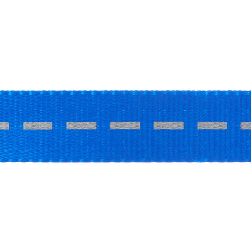 Vibrant Life Solid Nylon Dog Leash, Blue, Small, 5'