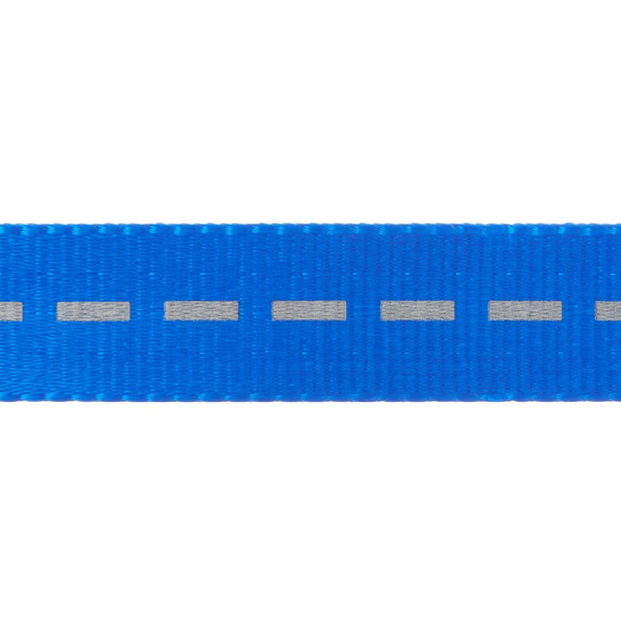 Vibrant Life Solid Nylon Dog Leash, Blue, Small, 5'