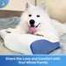 Cervical anti Snore Pillows for Sleeping - Ergonomic Neck Support Pillow for Neck & Shoulder Pain Relief - Side, Back, Stomach Sleepers - Contour Best Bed Anti-Snoring Pillows for Sleeping