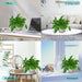 Plant Pots 7/6.5/6/5.5/5 Inch Self Watering Planters for Indoor Plants with Drainage Hole, Nursery Planting Pot Plastic Flower Pot for Succulents, African Violet (Green)