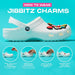 Crocs Unisex-Adult Men'S and Women'S Baya Lined Fuzz Strap Clog