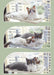 Cat Suction Cup Window Glass Hammock Pet Cat Pets Products