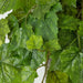 Grape Leaf Cascading Artificial Ivy Vine Bush Greenery - Indoor/Outdoor Tuscany Vineyard Winery Hanging Grape Leaves Plant for Home Porch or Patio Decor (39" L)