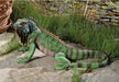 QL56991 Iggy the Iguana Garden Statue, 22 Inch, Large, Full Color